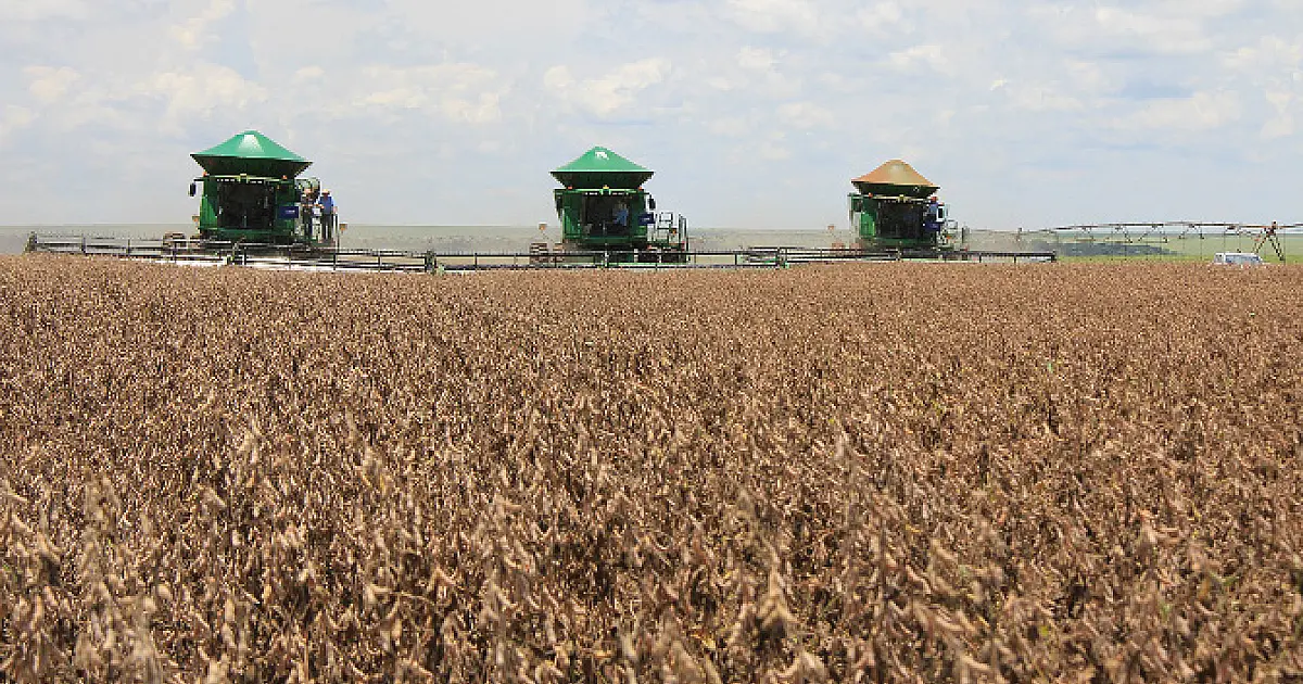 MS tem 12 cidades entre os maiores produtores do agronegócio brasileiro