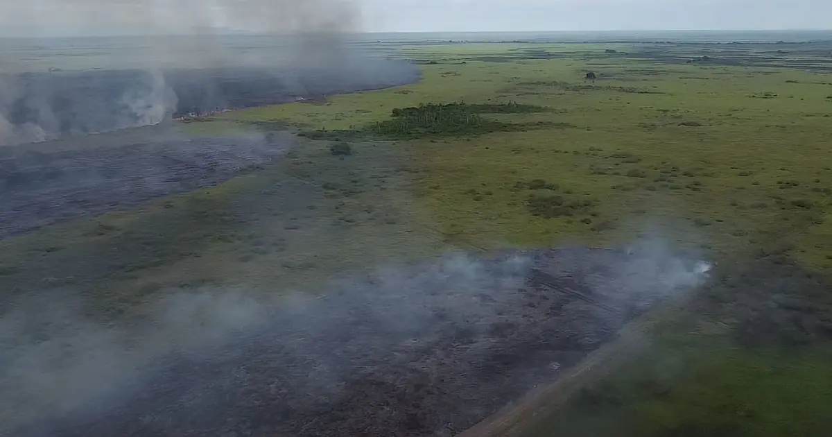 MS suspende queima controlada, técnica usada para prevenir incêndios no Pantanal