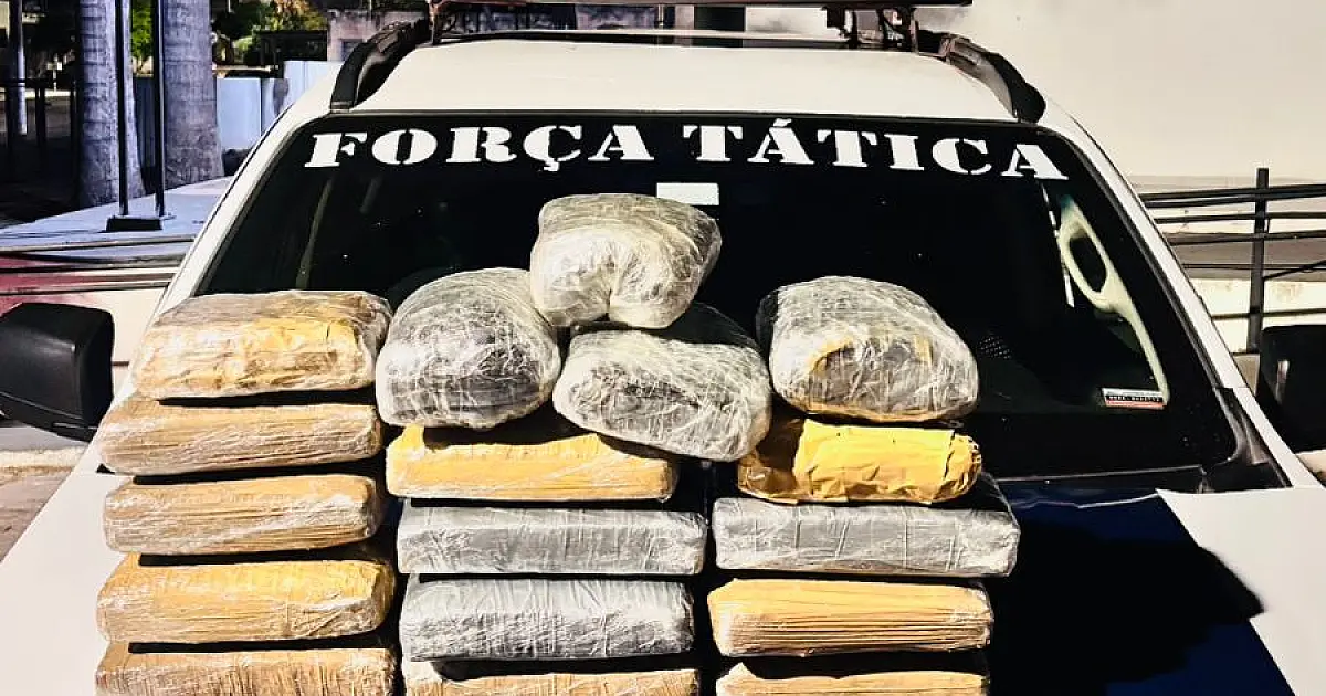 Fiscalização apreende 14 kg de skunk em ônibus que seguia para Capital