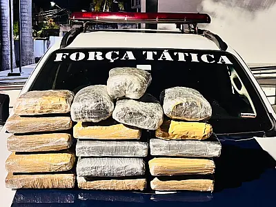 Fiscalização apreende 14 kg de skunk em ônibus que seguia para Capital