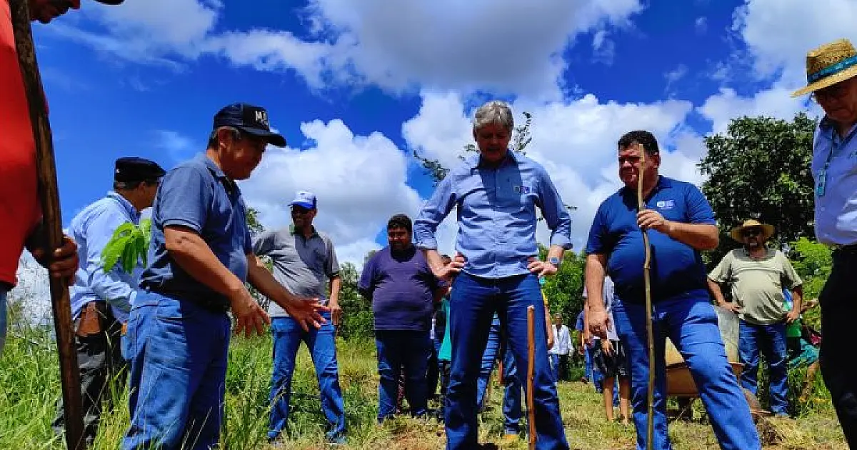 Agricultores familiares de MS são incluídos no mercado de crédito de carbono