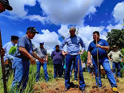 Agricultores familiares de MS são incluídos no mercado de crédito de carbono