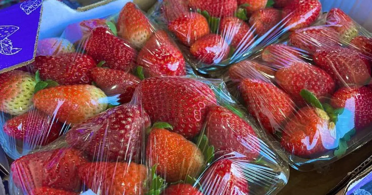 Preço do morango volta a cair, enquanto cenoura tem alta de preço na Ceasa de MS