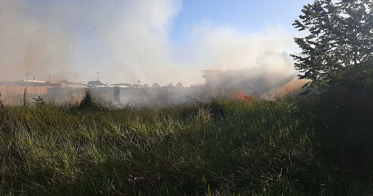 PMA autua mulher durante a operação Prolepse por incêndio em terreno baldio