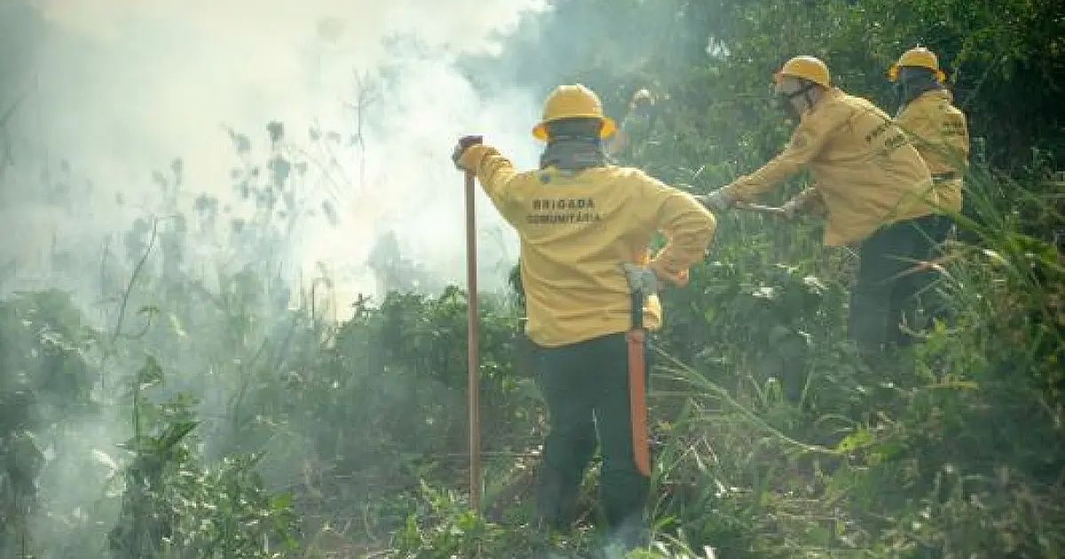 Pantanal ganha nova brigada para combate às queimadas