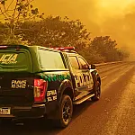 MS e o protagonismo na proteção ambiental
