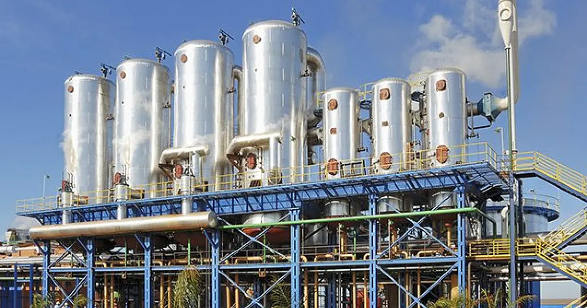 Geração de energia elétrica a partir da biomassa de cana-de-açúcar aumenta 365% em MS