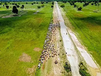 Produtores do Pantanal podem receber por preservar áreas