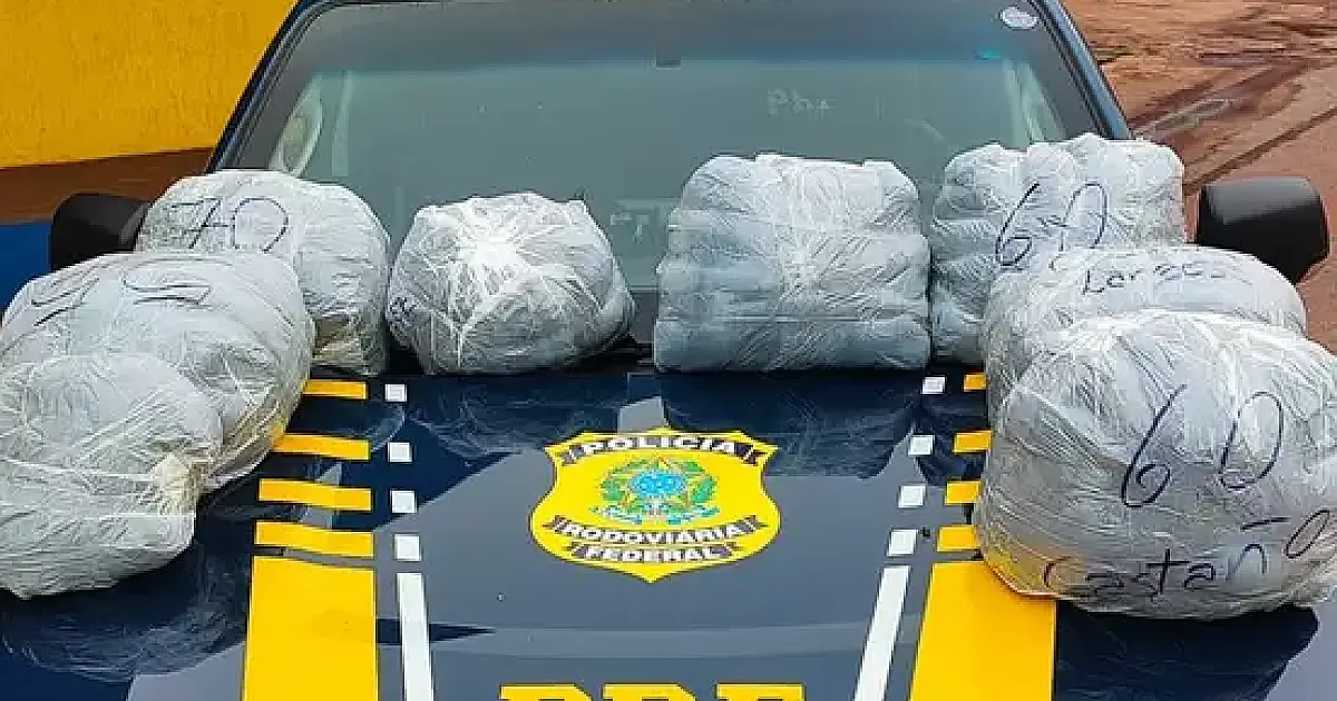Mulher paraguaia é presa com mais de 83 quilos de cabelos humanos na BR 262