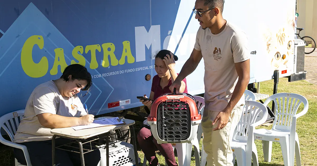 Corumbá inicia castração gratuita de cães e gatos