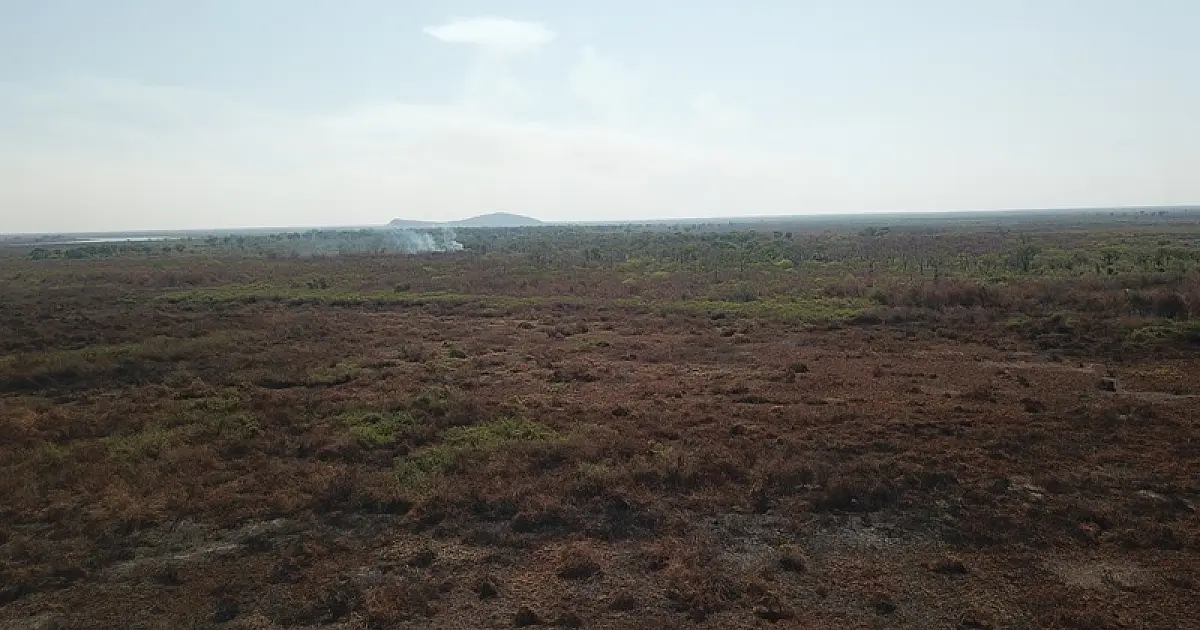 Climatologista prevê fim do Pantanal em 46 anos