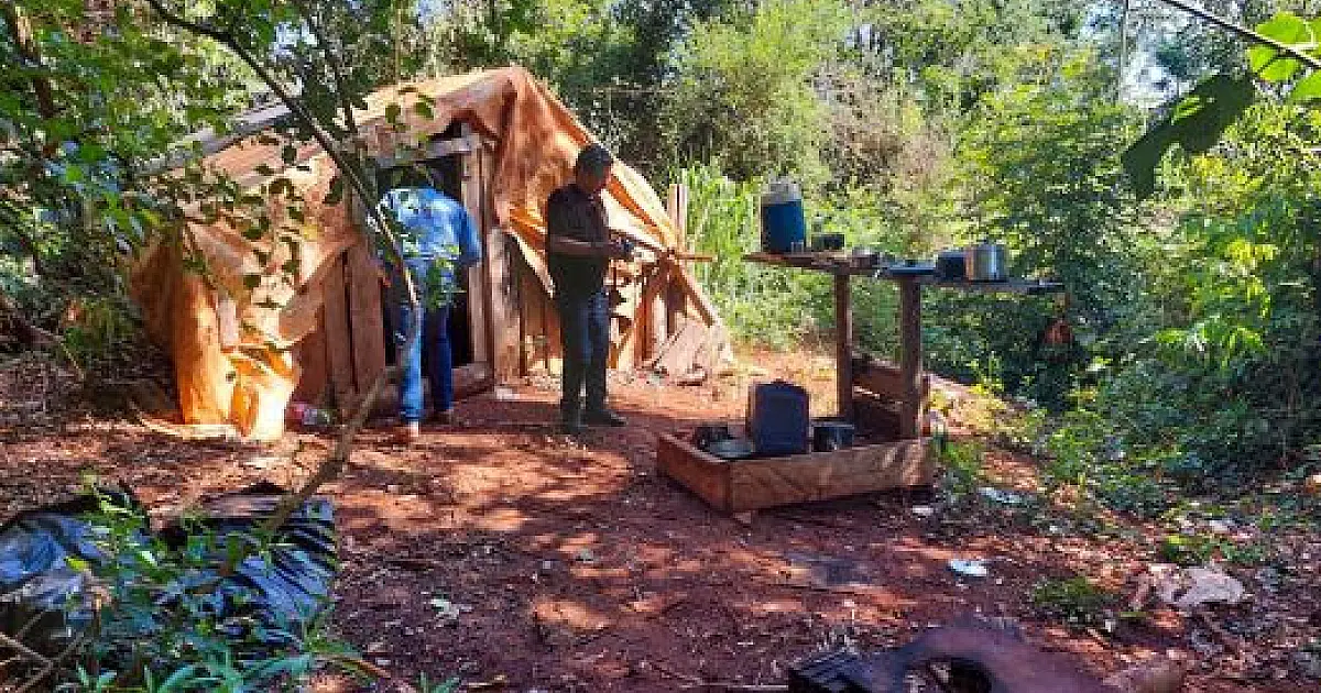 Acordo garante reparação a trabalhadores resgatados em condições degradantes em fazenda