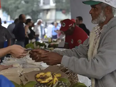 Programa Desenrola Rural entra em vigor nesta segunda-feira