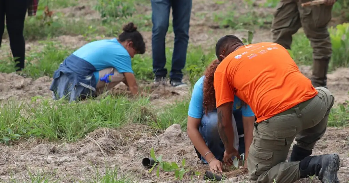 Projeto desperta consciência ambiental em alunos das escolas rurais do Alto Pantanal