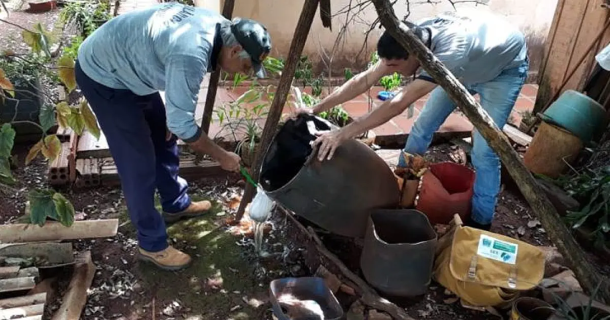 MS alcança 7.482 casos confirmados de dengue