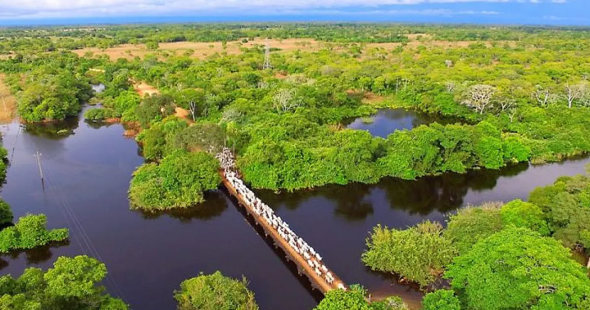 Mato Grosso do Sul sedia Agenda Verde do Agro com foco na sustentabilidade e descarbonização