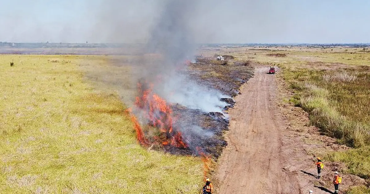 El Niño deve retornar no 2&ordm; semestre e elevar risco de incêndios no Pantanal