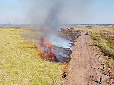 El Niño deve retornar no 2&ordm; semestre e elevar risco de incêndios no Pantanal