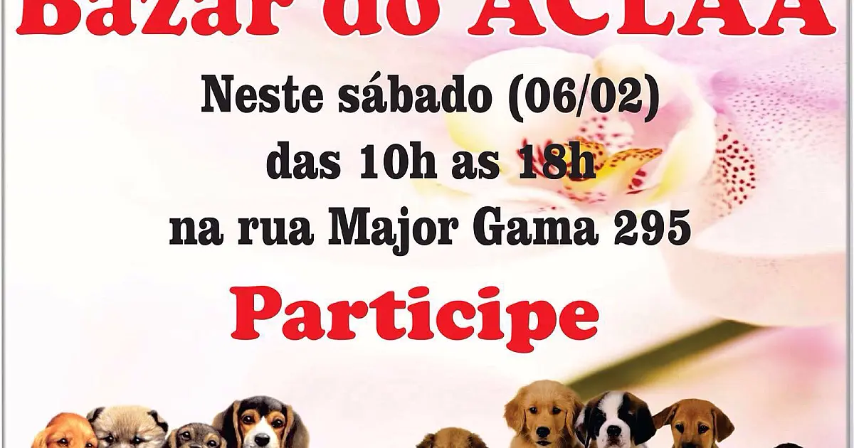 Neste sábado tem bazar em prol dos animais abandonados