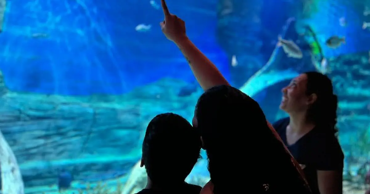 Bioparque Pantanal funcionará em horário especial no aniversário de Campo Grande