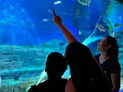 Bioparque Pantanal funcionará em horário especial no aniversário de Campo Grande