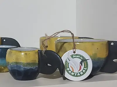 Marketplace exclusivo de produtos pantaneiros reúne mais de 200 empreendimentos de MS