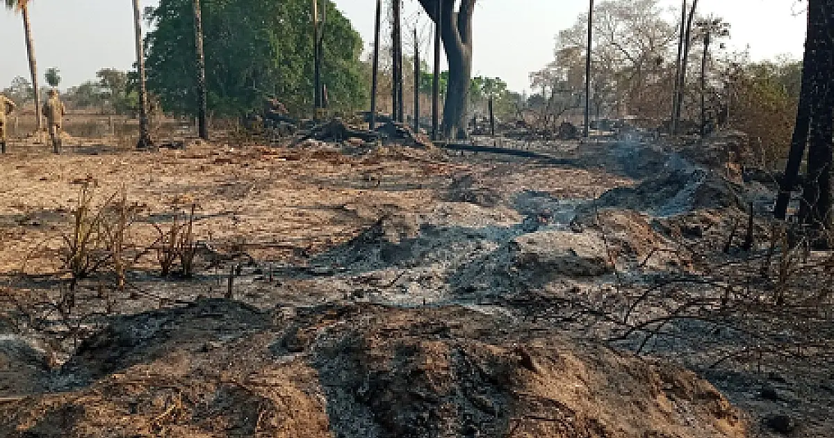 Incêndios continuam e Corumbá não tem motivo para celebrar o dia da árvore