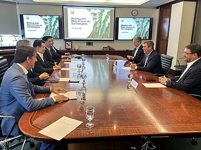 Singapura mira tilápia de MS em meio à sobretaxa dos EUA