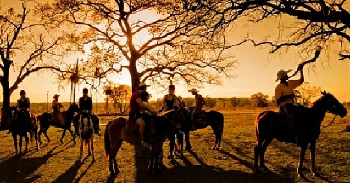 MS participa da BNT Mercosul com capacitação sobre turismo de Bonito e Pantanal