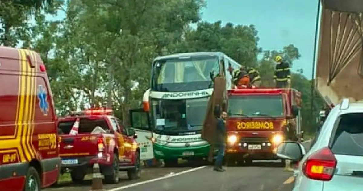 Após tragédia, vereador cobra por obras para garantir mais segurança na BR-262