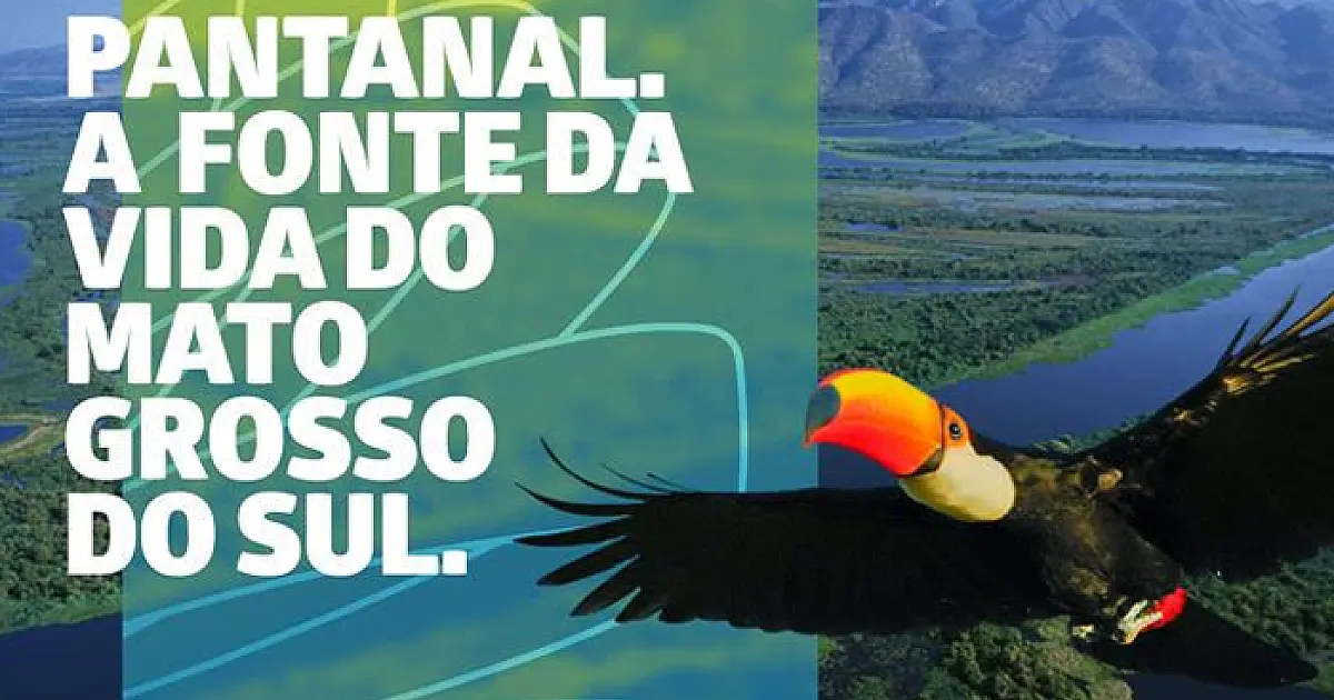 Exposição homenageia Pantanal como fonte da vida em MS