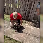 Filhote de cachorro que caiu em fossa é resgatado no Padre Ernesto Sassida