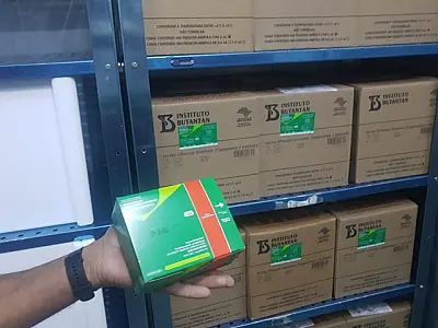 Municípios de MS começam a receber doses para vacinação contra Influenza