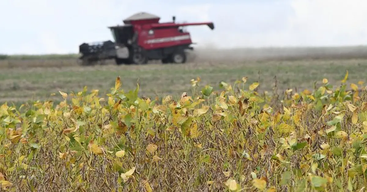 MS inicia plantio da nova safra de soja com expetativa de colher 15 milhões de toneladas