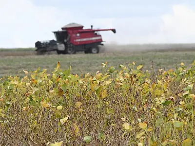 MS inicia plantio da nova safra de soja com expetativa de colher 15 milhões de toneladas