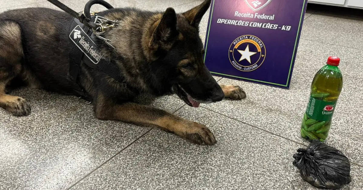 Operação conjunta apreende cocaína e mais de 1t de mercadorias na fronteira