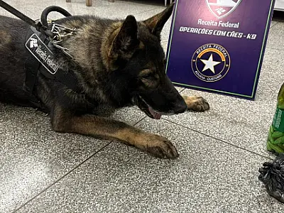 Operação conjunta apreende cocaína e mais de 1t de mercadorias na fronteira