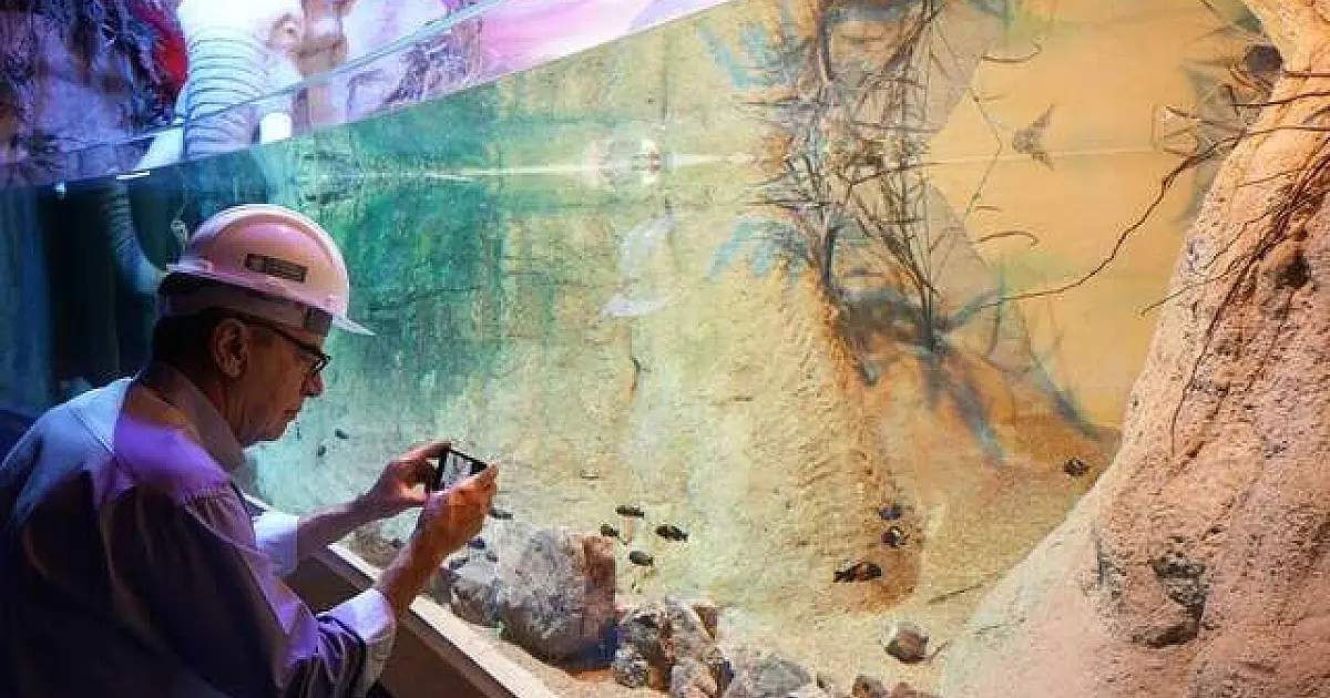 Bioparque do Pantanal será gratuito por 4 meses