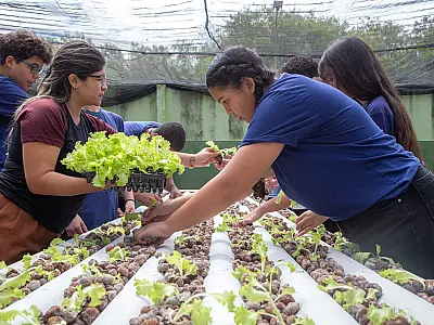 Escola estadual de MS transforma água de ar-condicionado em alfaces sustentáveis