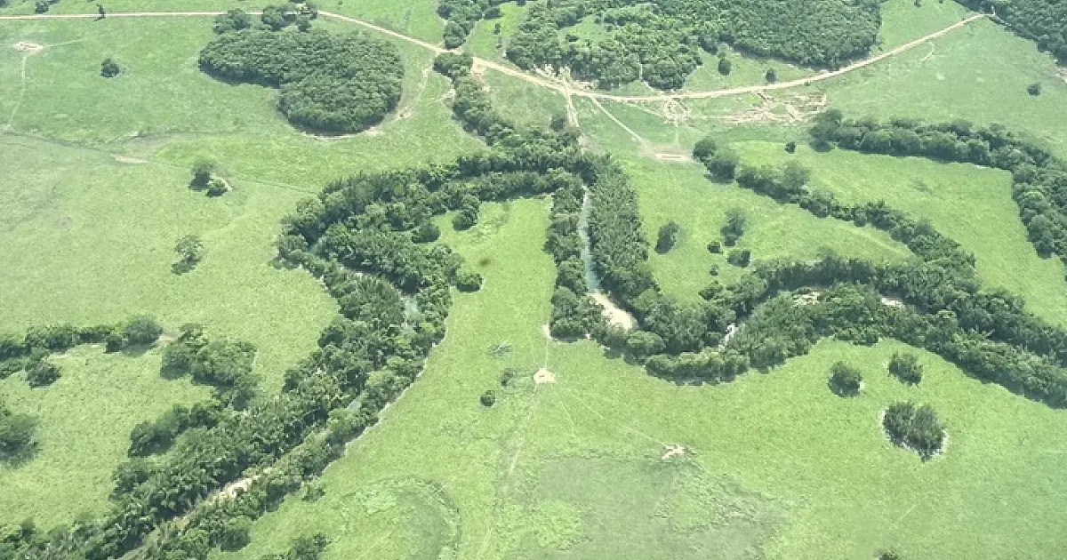 Sobrevoo percorre quase 500 km para monitorar cabeceiras do Pantanal