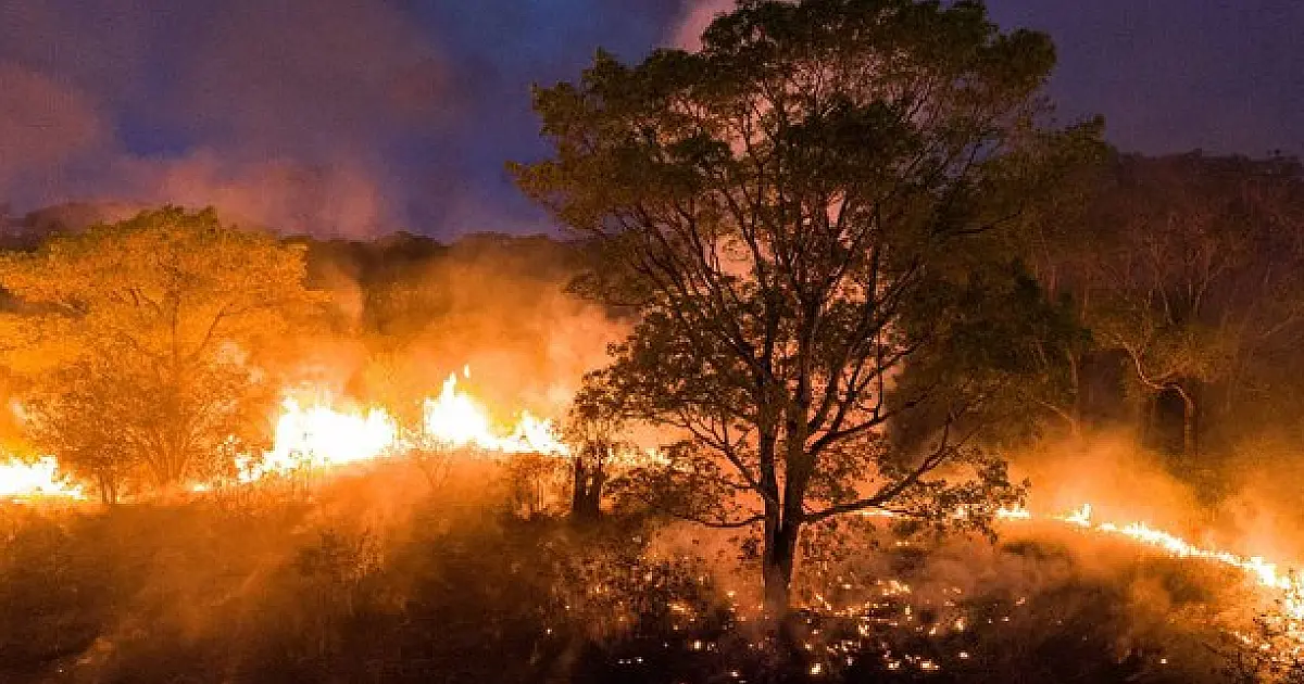 PF já tem provas para indiciar fazendeiros de MS por queimadas no Pantanal