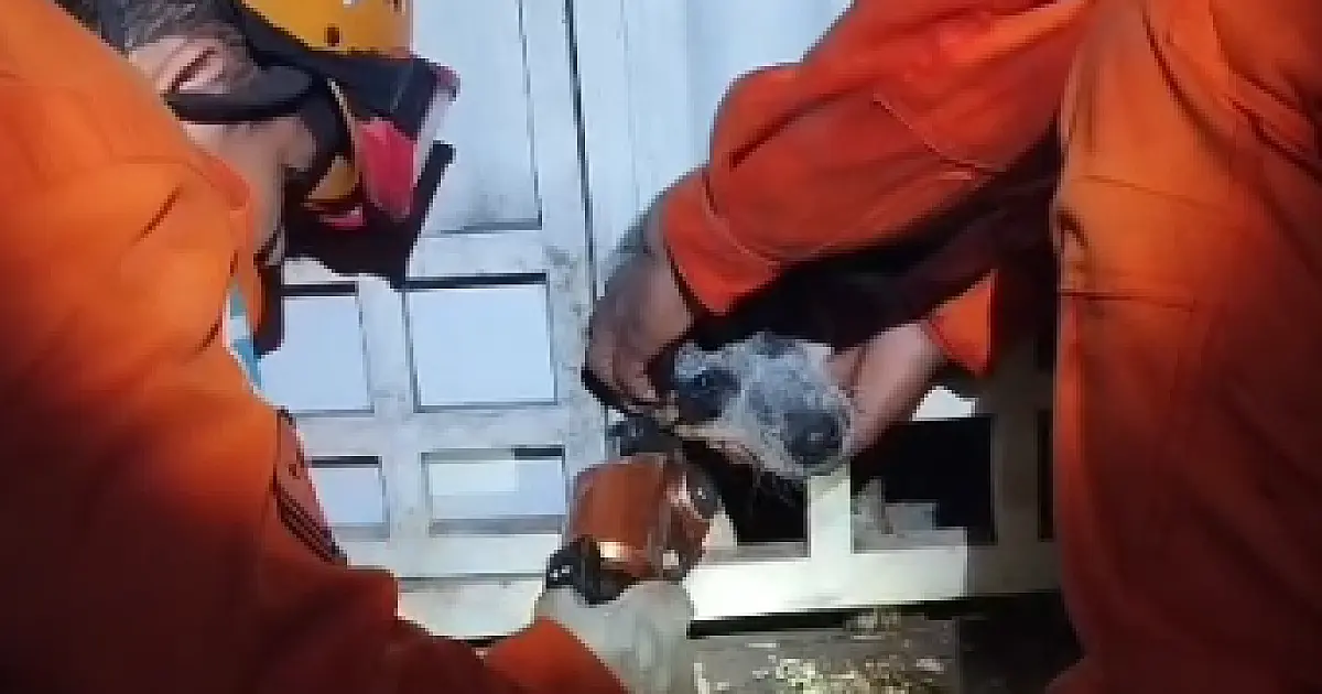 Bombeiros resgatam cachorro com a cabeça presa em portão no Maria Leite