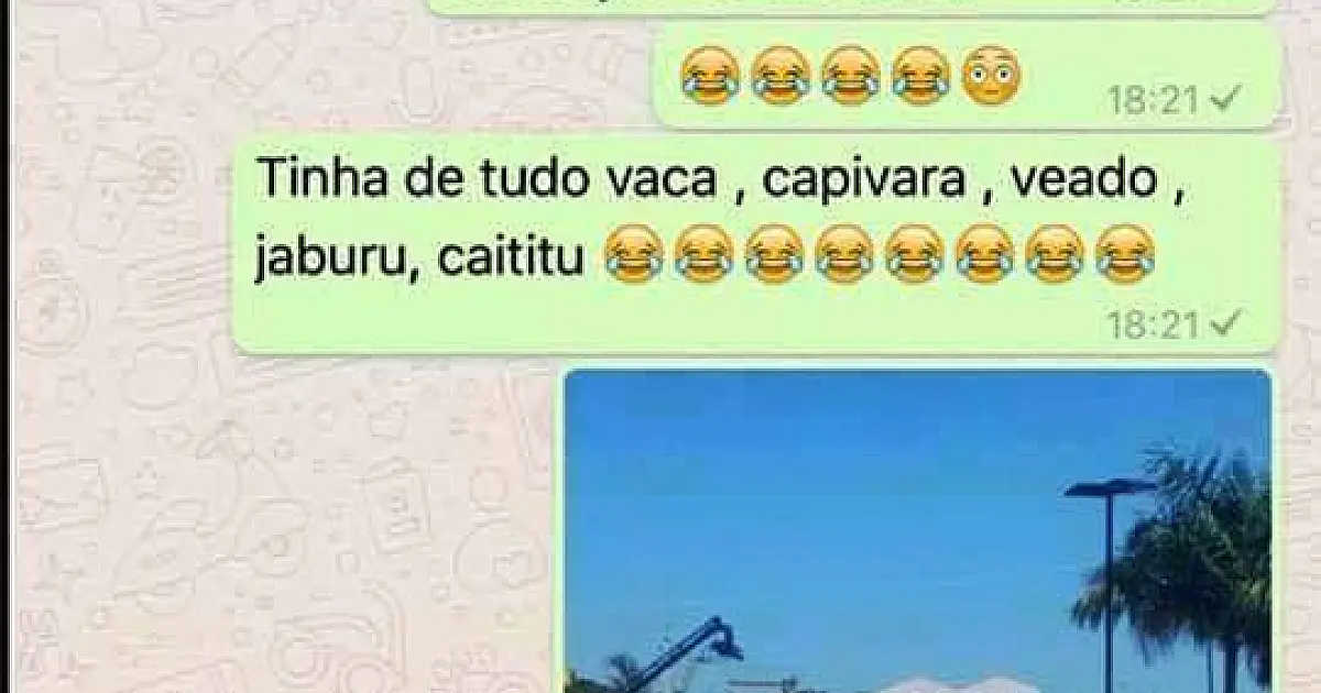 Ti Ti Ti de carnaval....