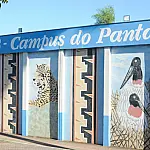 Corumbá é escolhida pelo IBGE para teste nacional do 12º Censo Agropecuário