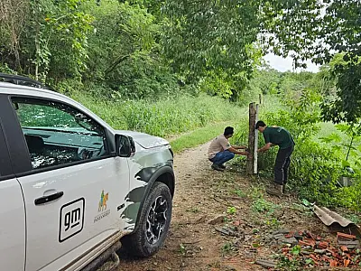 Equipamentos para monitorar onças desaparecem em área urbana de Corumbá