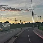 Vereador cobra retirada de animais soltos nas ruas de Corumbá