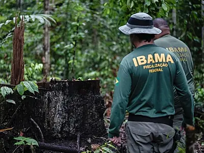 Golpe usa falso concurso do Ibama para roubar dados na internet