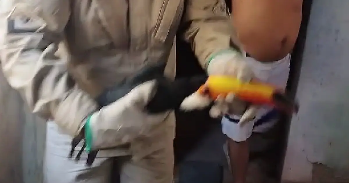 Tucano com ferimento nas asas é resgatado no Aeroporto