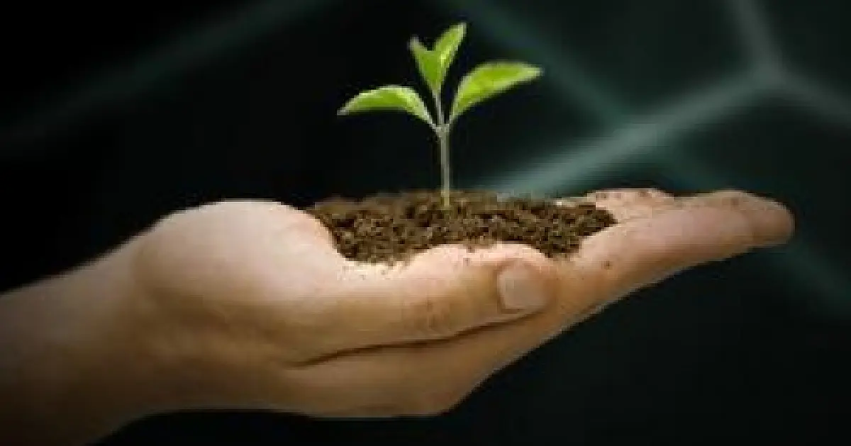 Gentileza gera gentileza