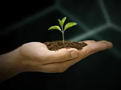 Gentileza gera gentileza